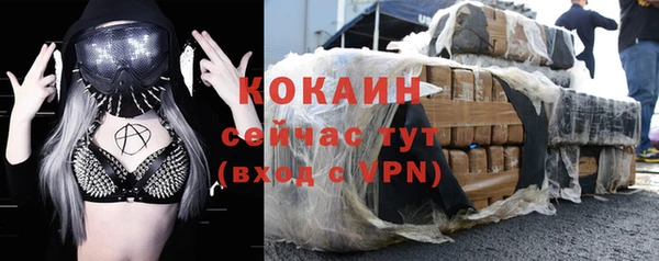 амф Липки