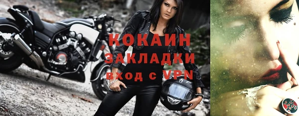 прущие грибы Майский