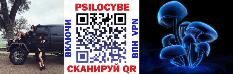 купить OMG рабочий сайт Псилоцибиновые грибы ЛСД Луга