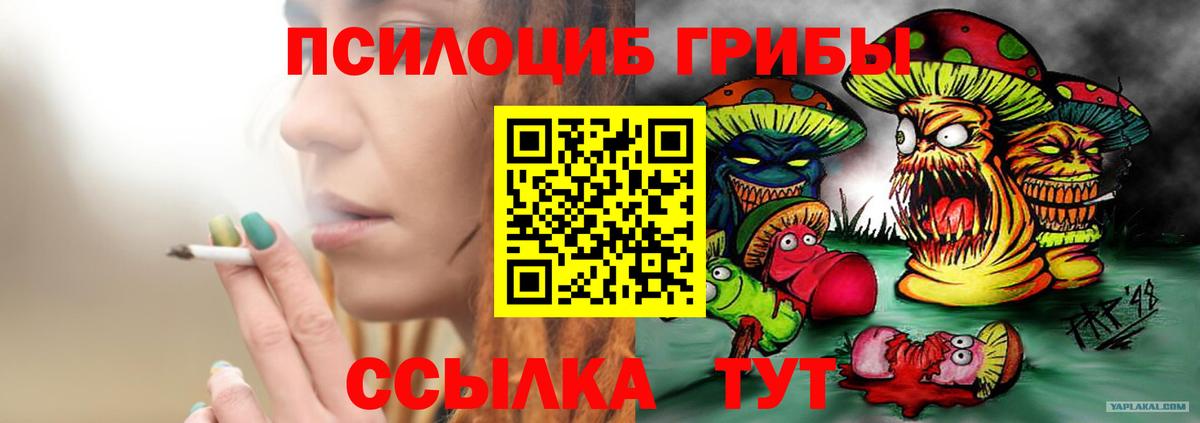 Псилоцибиновые грибы мухоморы Луга