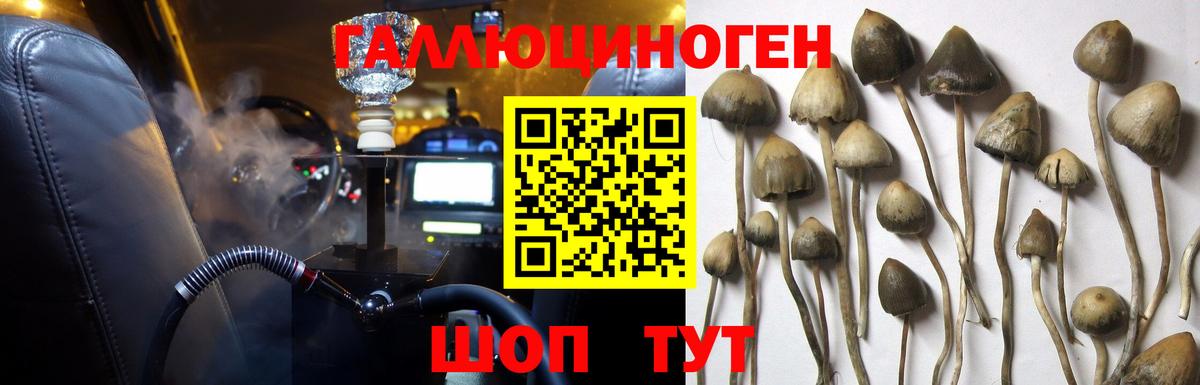 Луга  Псилоцибиновые грибы MAGIC MUSHROOMS  закладки  Вход с VPN 